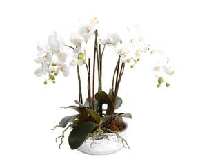 Vasi per orchidee: romantiche composizioni - Dalani e ora ...